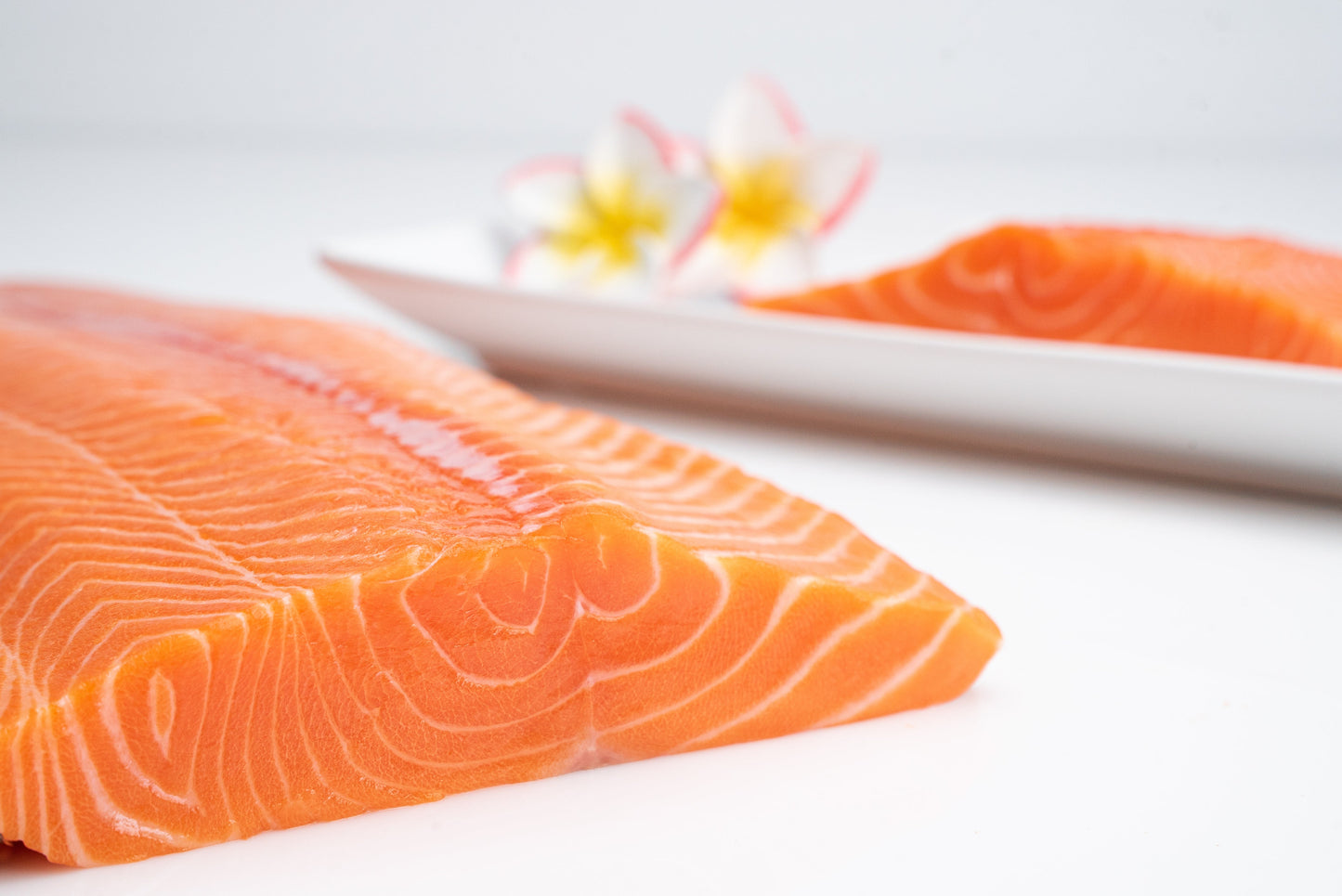 Ultra Ahi, King Salmon, Kauai Sweet Prawns 4.5 lbs
