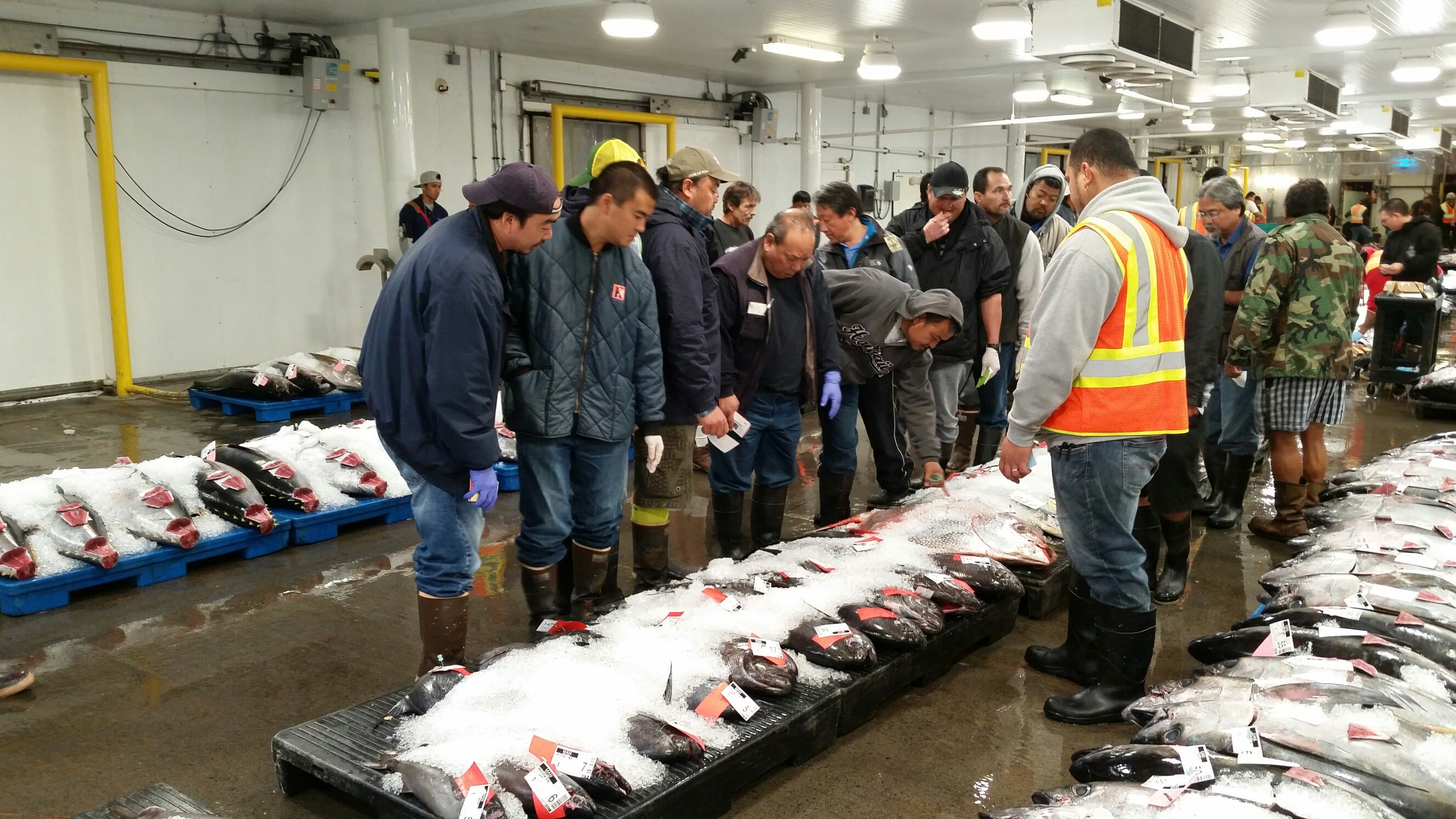 Video: Fresh Fish Delivery to Restaurants – Honolulu Fish Market