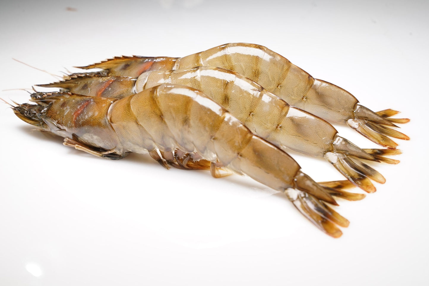 Red Deep Sea Crab Kauai Prawns And Premium Scallops 10 lbs