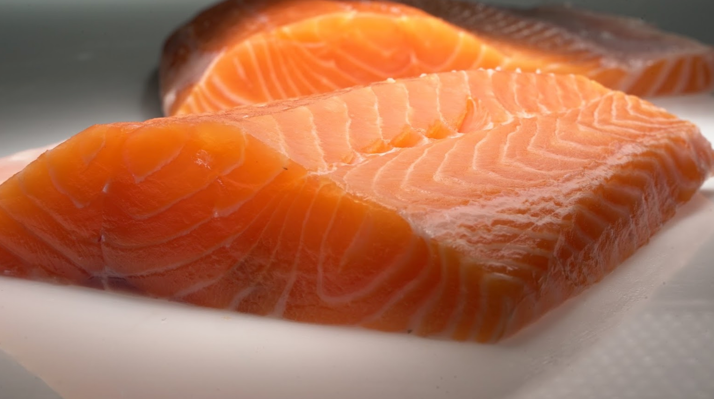 Loch Etive Steelhead Trout