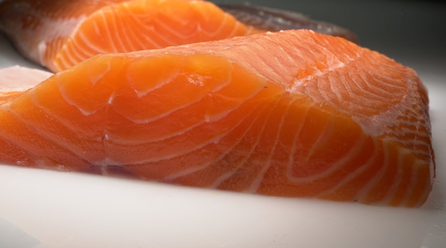 Loch Etive Steelhead Trout