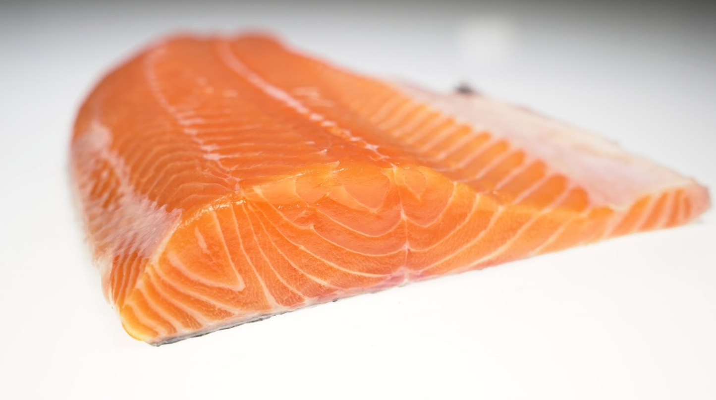 Loch Etive Steelhead Trout