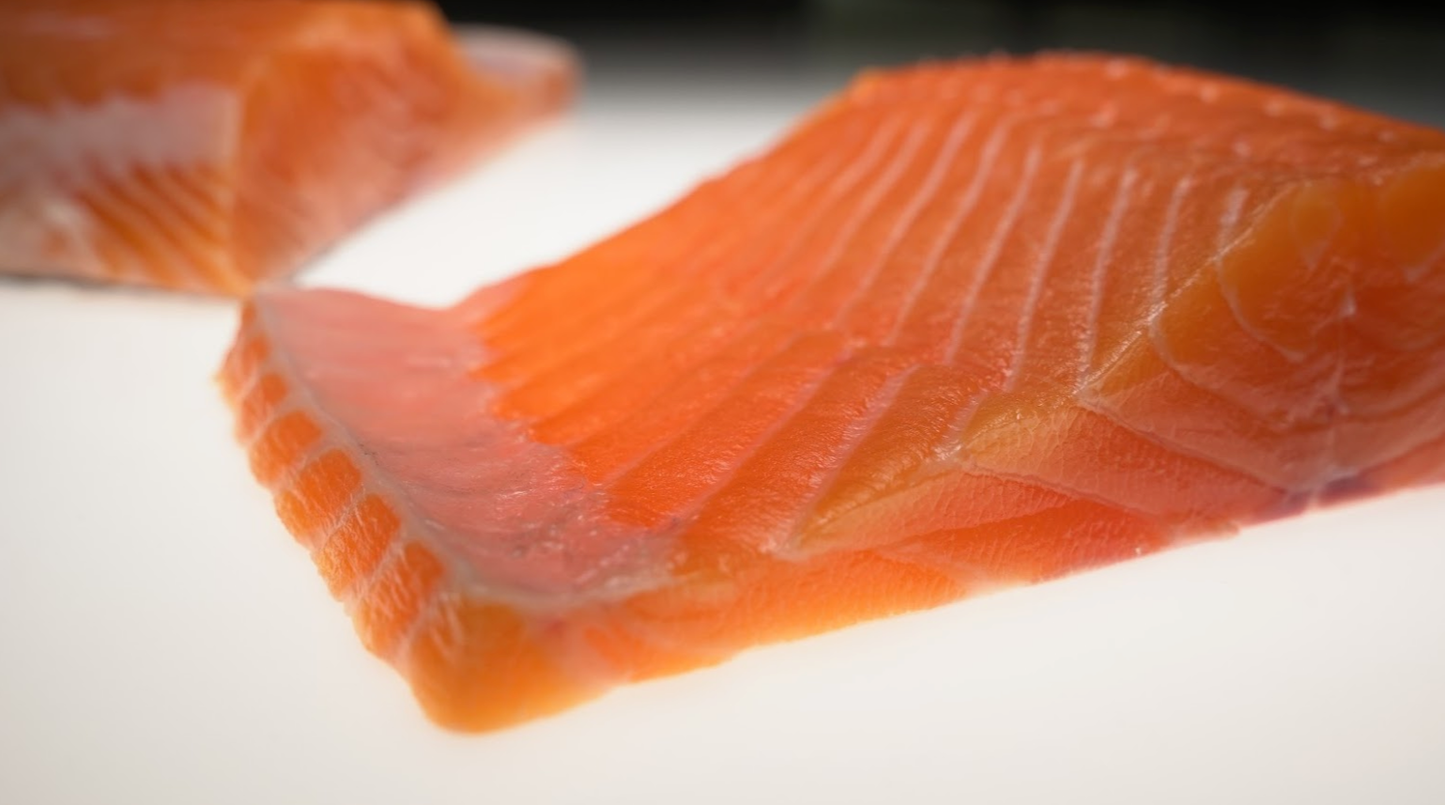 Loch Etive Steelhead Trout