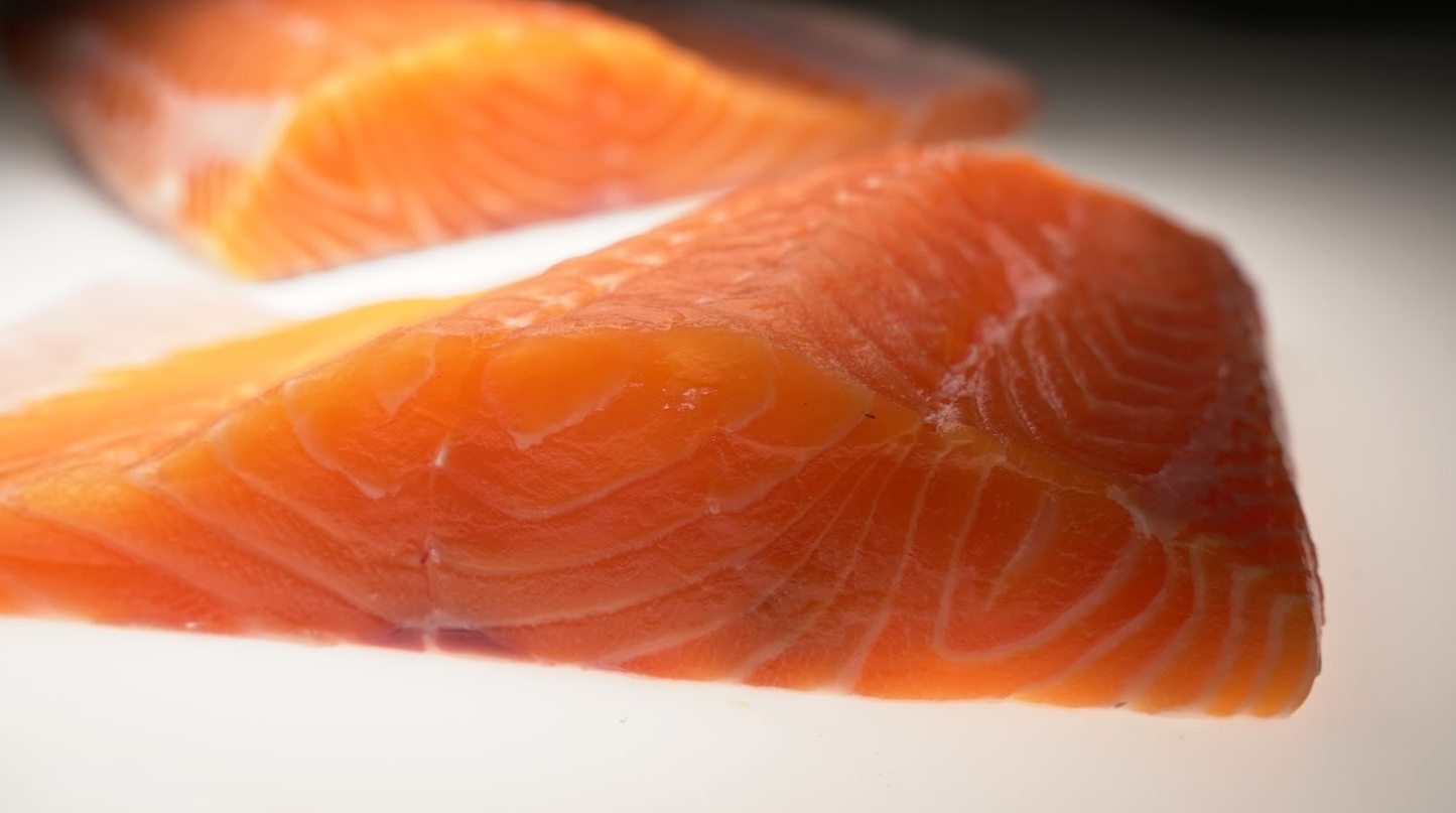 Loch Etive Steelhead Trout