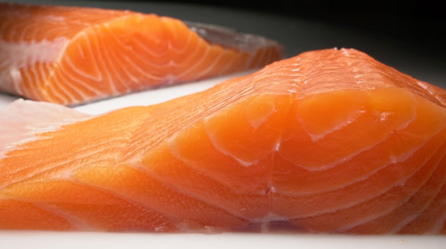 Loch Etive Steelhead Trout