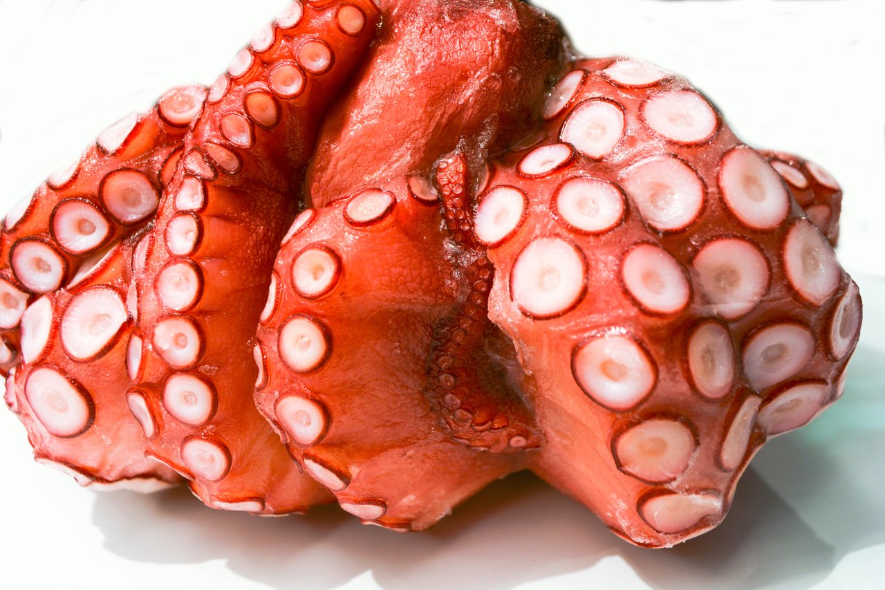 Japan Steamed Madako Tako 1 lb